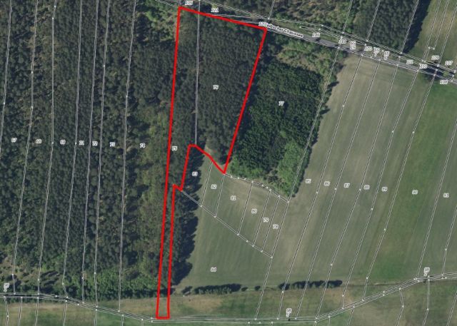 Lageskizze mit Luftbildunterlegung - Über 2 Hektar Wald- und Landwirtschaftsfläche in Märkisch Buchholz - dem Tor zum Spreewald