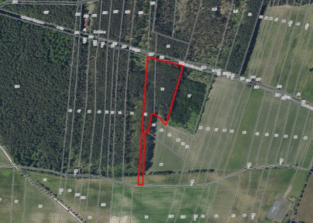 Lageskizze mit Umgebung und Luftbildunterlegung - Über 2 Hektar Wald- und Landwirtschaftsfläche in Märkisch Buchholz - dem Tor zum Spreewald