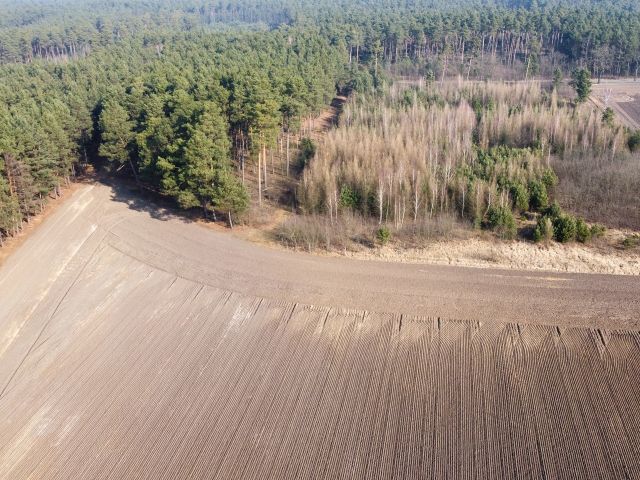Verkaufsfläche und Umgebung - Über 2 Hektar Wald- und Landwirtschaftsfläche in Märkisch Buchholz - dem Tor zum Spreewald