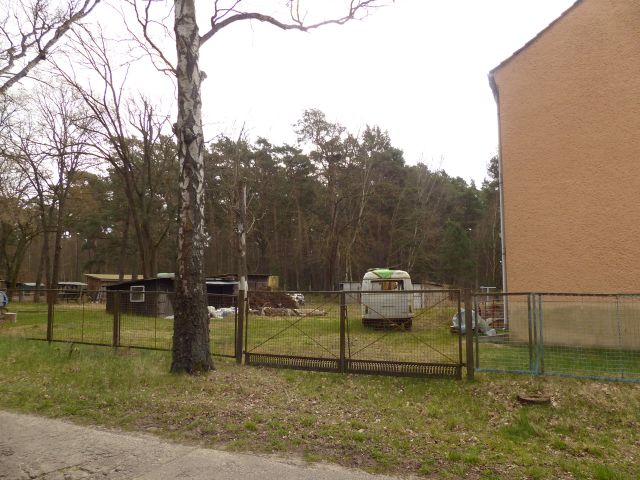 Umgebung - Gegenüberliegende Bebauung - Teilweise verpachtetes Grundstück (überwiegend Wald, teilweise Landwirtschafts-/Grünfläche) in Märkisch Buchholz