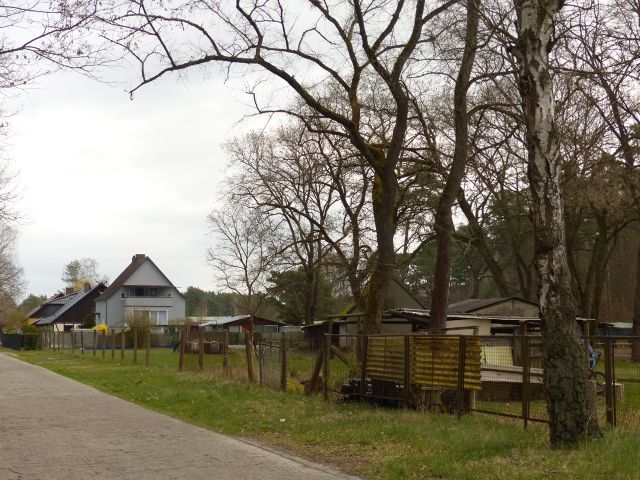 Blick in die Umgebung - Teilweise verpachtetes Grundstück (überwiegend Wald, teilweise Landwirtschafts-/Grünfläche) in Märkisch Buchholz