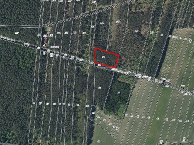 Lageskizze mit Umgebung und Luftbildunterlegung - Vertragsfreie Waldfläche mit einer Grundstücksgröße von 6.000 m² in Märkisch Buchholz
