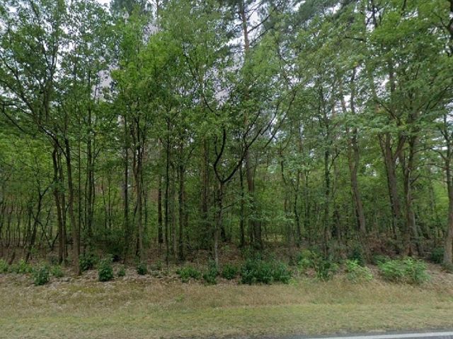 Blick auf die Verkaufsfläche von der Straße - Über 1 Hektar Waldfläche in Märkisch Buchholz - dem Tor zum Spreewald