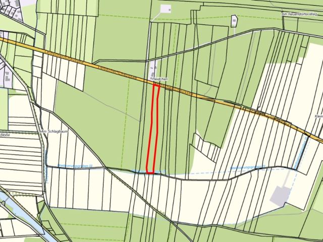 Lageskizze mit Umgebung - Über 1 Hektar Waldfläche in Märkisch Buchholz - dem Tor zum Spreewald