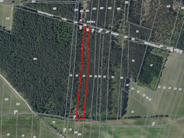 Lageskizze mit Luftbildunterlegung - Über 1 Hektar Waldfläche in Märkisch Buchholz - dem Tor zum Spreewald