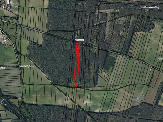 Lageskizze mit Umgebung und Luftbildunterlegung - Über 1 Hektar Waldfläche in Märkisch Buchholz - dem Tor zum Spreewald