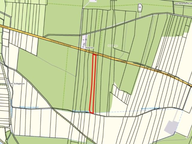 Lageskizze mit Umgebung - Waldfläche mit einer Grundstücksgröße von 8.961 m² in Märkisch Buchholz - dem Tor zum Spreewald