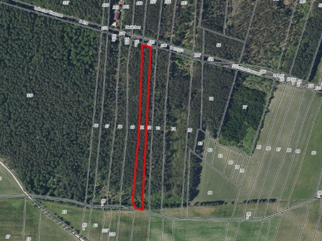 Lageskizze mit Luftbildunterlegung - Waldfläche mit einer Grundstücksgröße von 8.961 m² in Märkisch Buchholz - dem Tor zum Spreewald