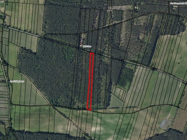 Lageskizze mit Umgebung und Luftbildunterlegung - Waldfläche mit einer Grundstücksgröße von 8.961 m² in Märkisch Buchholz - dem Tor zum Spreewald