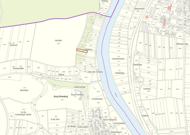 Umgebungsskizze - Waldfläche oberhalb des Neckars unweit der ´Burg Ehrenberg´ und der Wohnbebauung von Heinsheim