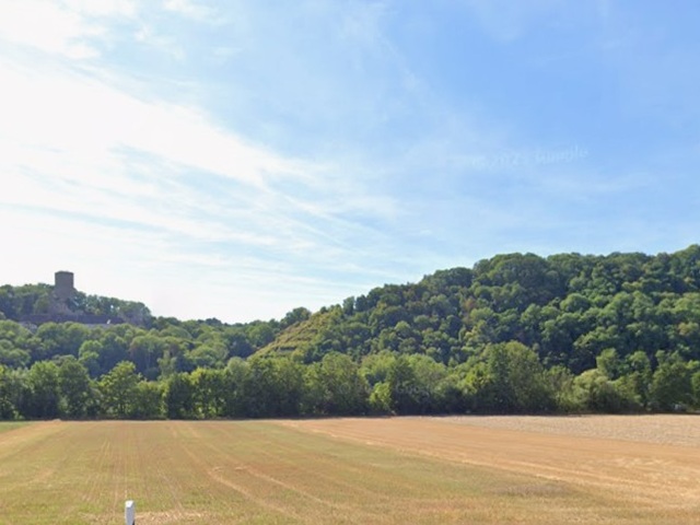 Waldfläche oberhalb des Neckars unweit der ´Burg Ehrenberg´ und der Wohnbebauung von Heinsheim
