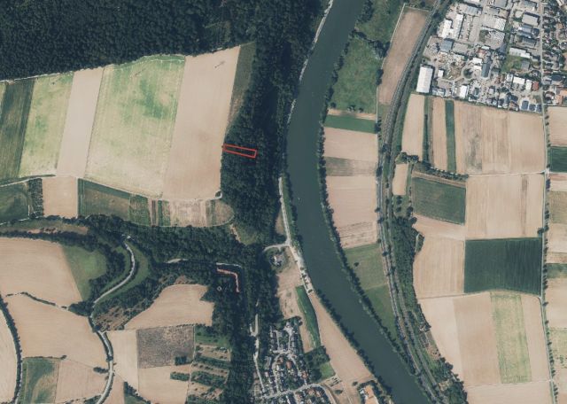 Umgebungsskizze - Waldfläche oberhalb des Neckars unweit der ´Burg Ehrenberg´ und der Wohnbebauung von Heinsheim
