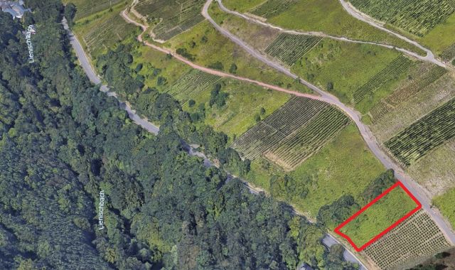 Umgebungsskizze ungefähre Lage der Verkaufsfläche - Gerodeter, ehemaliger Weinberg in der Weinbaulage ´Zeller Domherrenberg´ im Moseltal