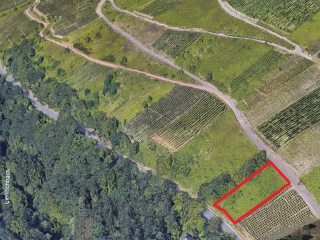 Lageskizze ungefähre Lage der Verkaufsfläche - Gerodeter, ehemaliger Weinberg in der Weinbaulage ´Zeller Domherrenberg´ im Moseltal