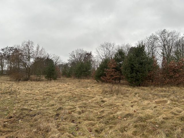 Blick auf Verkaufsgegenstand und Umgebung - Vertragsfreie Freiflächen innerhalb eines Wohngebietes in Hoyerswerda