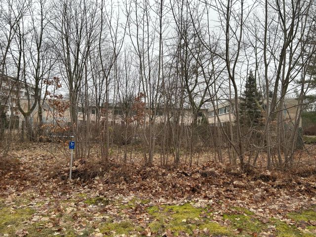 Blick auf naheliegende Umgebungsbebauung - Vertragsfreie Freiflächen innerhalb eines Wohngebietes in Hoyerswerda
