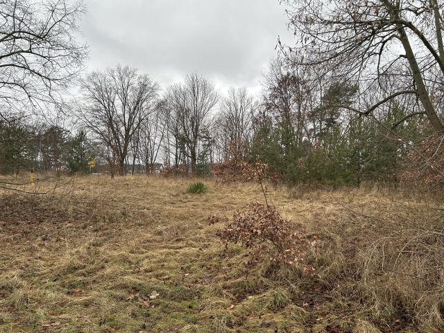 Blick auf Verkaufsgegenstand und Umgebung - Vertragsfreie Freiflächen innerhalb eines Wohngebietes in Hoyerswerda