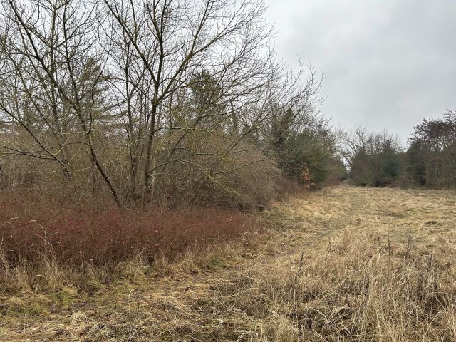 Blick auf Verkaufsgegenstand und Umgebung - Vertragsfreie Freiflächen innerhalb eines Wohngebietes in Hoyerswerda