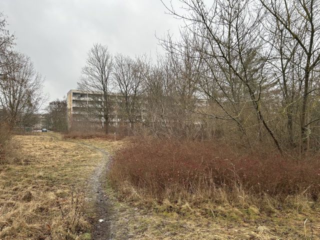 Blick auf naheliegende Umgebungsbebauung - Vertragsfreie Freiflächen innerhalb eines Wohngebietes in Hoyerswerda