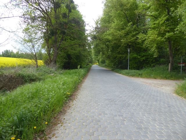 Ansicht Mittelweg - Verkaufsgegenstand rechts - Vertragsfreies Waldgrundstück ca. 800 m östlich der Niedersächsischen Landesgrenze - lt. FNP Gewerbefläche