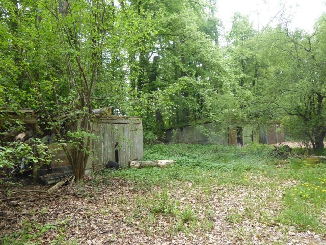 Blick auf Verkaufsgegenstand mit alter Bebauung - Vertragsfreies Waldgrundstück ca. 800 m östlich der Niedersächsischen Landesgrenze - lt. FNP Gewerbefläche