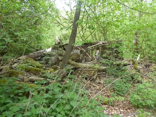 Blick auf Ablagerungen auf der Verkaufsfläche - Vertragsfreies Waldgrundstück ca. 800 m östlich der Niedersächsischen Landesgrenze - lt. FNP Gewerbefläche