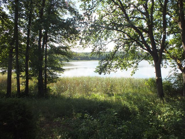 Blick auf den Settiner See - Vertragsfreie Erholungsfläche in unmittelbarer Ufernähe zum Settiner See **ca. 24 km von Schwerin entfernt**
