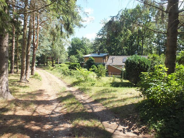 Blick auf Umgebung - Vertragsfreie Erholungsfläche in unmittelbarer Ufernähe zum Settiner See **ca. 24 km von Schwerin entfernt**