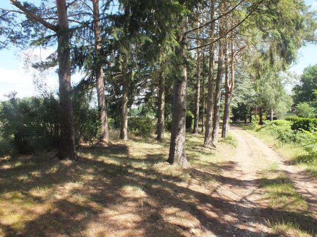 Blick auf die Umgebung - Vertragsfreie Erholungsfläche in unmittelbarer Ufernähe zum Settiner See **ca. 24 km von Schwerin entfernt**