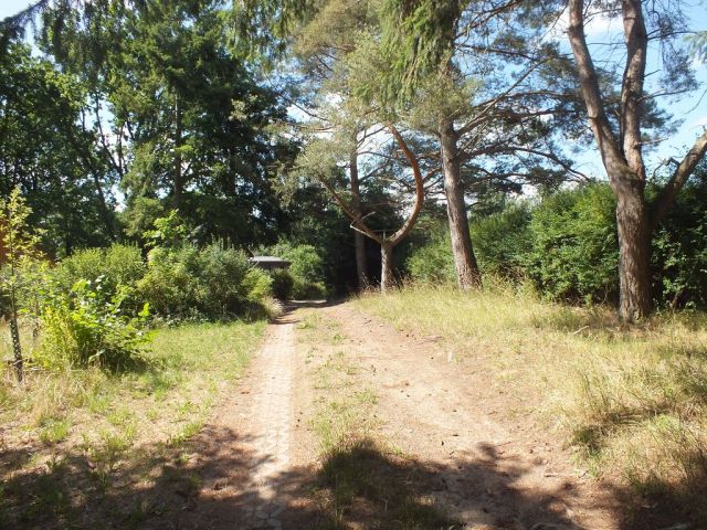 Blick auf die Umgebung - Vertragsfreie Erholungsfläche in unmittelbarer Ufernähe zum Settiner See **ca. 24 km von Schwerin entfernt**