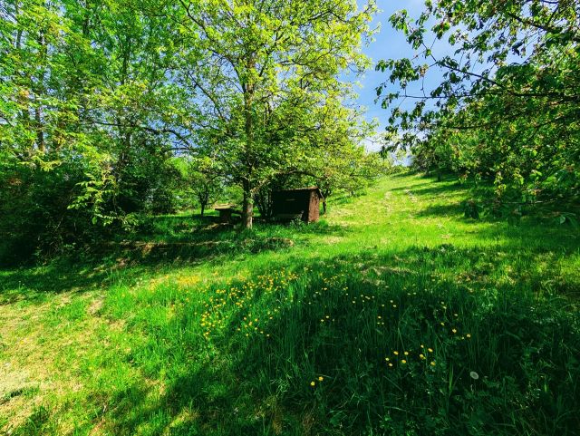 Pfedelbach, FS 1011/3 - Blick in die Umgebung - Paketverkauf von 8 Grundstücken (u. a. in Pfedelbach), mit Wald-/Gartenflächen in 5 Bundesländern *tlw. vertragslose Nutzung*