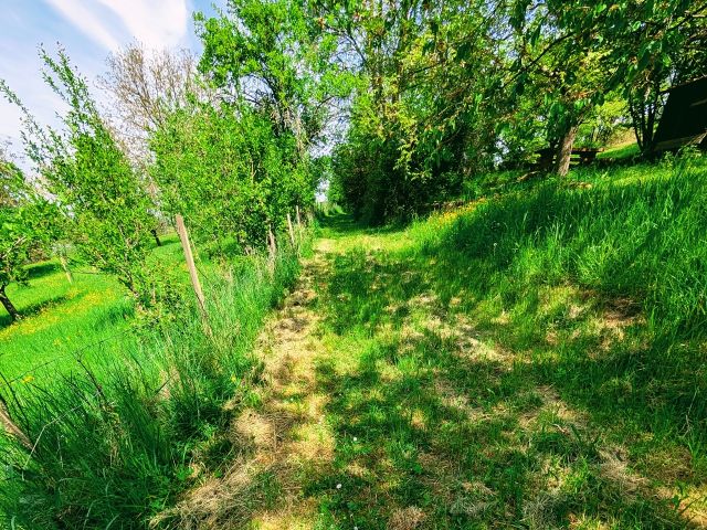 Pfedelbach, FS 1011/3 - Weg vor dem Grundstück - Paketverkauf von 8 Grundstücken (u. a. in Pfedelbach), mit Wald-/Gartenflächen in 5 Bundesländern *tlw. vertragslose Nutzung*
