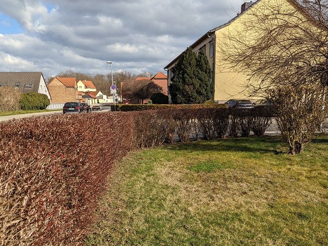 Staßfurt OT Löderburg , Flur 5, FS 2010 - Verkaufsfläche und Umgebung (Aufnahme 2022) - Paketverkauf von 8 Grundstücken (u. a. in Pfedelbach), mit Wald-/Gartenflächen in 5 Bundesländern *tlw. vertragslose Nutzung*
