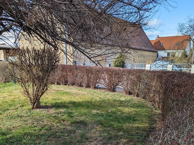 Staßfurt OT Löderburg , Flur 5, FS 2010 - Verkaufsfläche und Umgebung (Aufnahme 2022) - Paketverkauf von 8 Grundstücken (u. a. in Pfedelbach), mit Wald-/Gartenflächen in 5 Bundesländern *tlw. vertragslose Nutzung*
