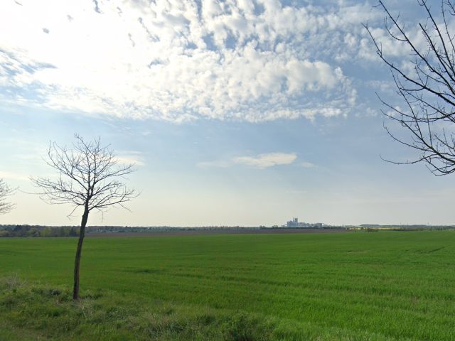 Nienburg (Saale), Flur 4, FS 137 - Verkaufsfläche und Umgebung - Paketverkauf von 8 Grundstücken (u. a. in Pfedelbach), mit Wald-/Gartenflächen in 5 Bundesländern *tlw. vertragslose Nutzung*