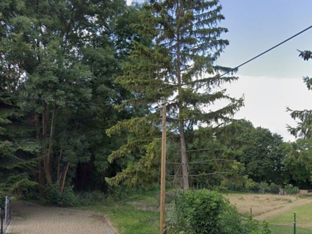Blick von der Straße Brautor auf die Umgebung und Richtung Verkaufsgegenstand - Vertragsfreie Grünland- und mit Bäumen bewachsene Fläche im Westen Sachsen-Anhalts