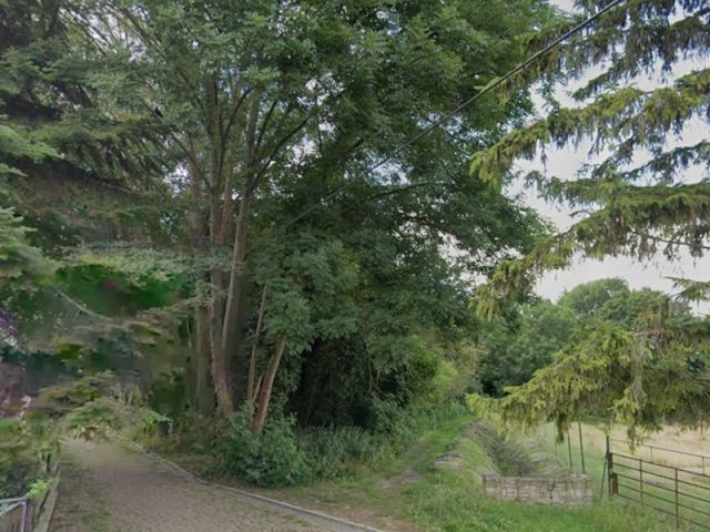 Blick von der Straße Brautor auf die Umgebung und Richtung Verkaufsgegenstand - Vertragsfreie Grünland- und mit Bäumen bewachsene Fläche im Westen Sachsen-Anhalts