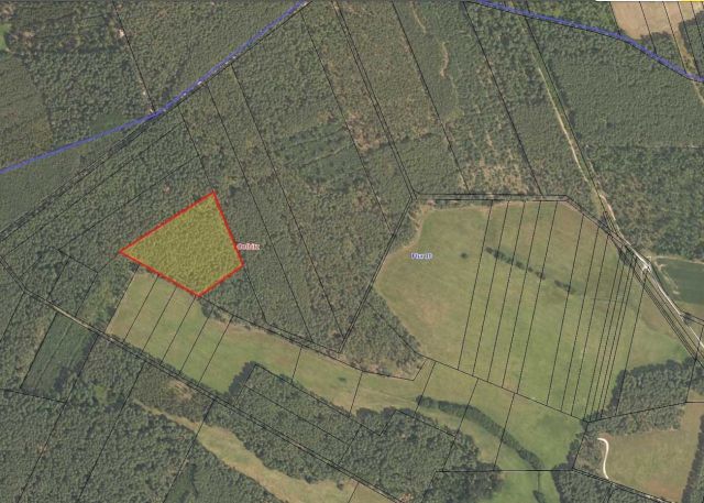 Umgebungsskizze - Über 2,2 ha Waldfläche in der Colbitz-Letzlinger Heide im Landkreis Börde ca. 20 km nördlich der Landeshauptstadt Magdeburg