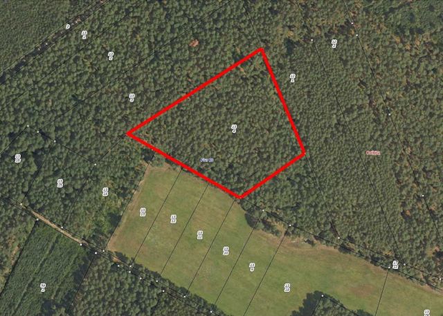 Lageskizze - Über 2,2 ha Waldfläche in der Colbitz-Letzlinger Heide im Landkreis Börde ca. 20 km nördlich der Landeshauptstadt Magdeburg