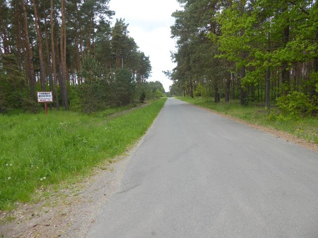 Ansicht Umgebung und August-Bebel-Straße - Über 2,2 ha Waldfläche in der Colbitz-Letzlinger Heide im Landkreis Börde ca. 20 km nördlich der Landeshauptstadt Magdeburg
