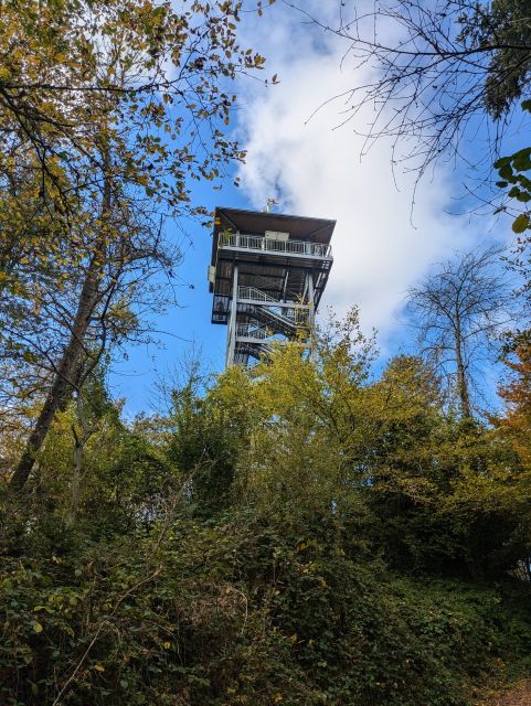 Aussichtsturm Prinzenkopf - Bewaldete Fläche oberhalb der Moselschlinge und nahe dem Aussichtsturm Prinzenkopf