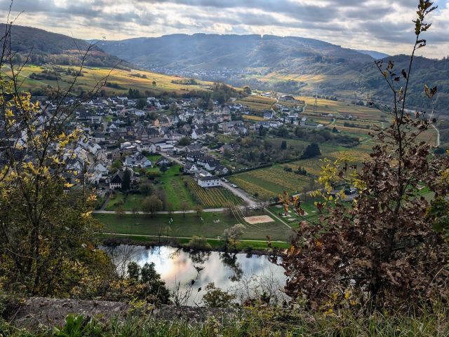 Blick von der Verkaufsfläche auf Pünderich und die Umgebung - Bewaldete Fläche oberhalb der Moselschlinge und nahe dem Aussichtsturm Prinzenkopf