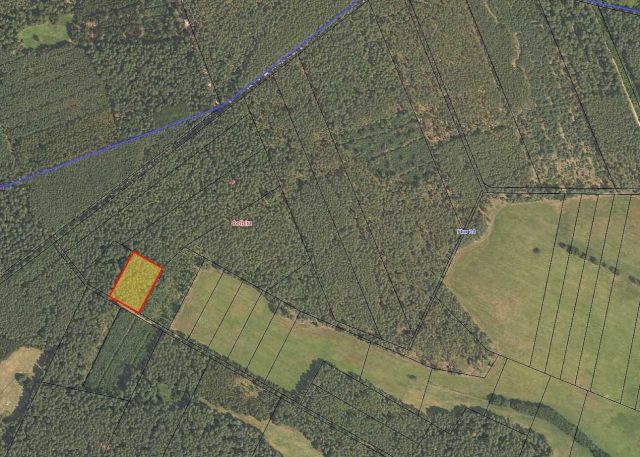 Umgebungsskizze - Waldfläche in der Colbitz-Letzlinger Heide im Landkreis Börde ca. 20 km nördlich der Landeshauptstadt Magdeburg
