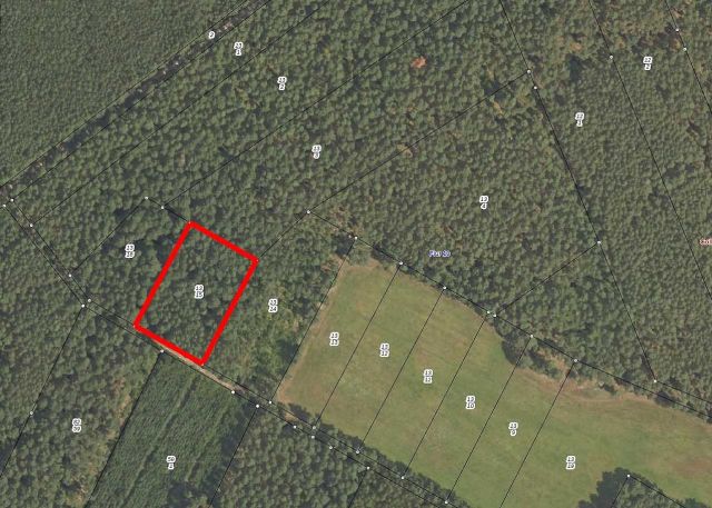 Lageskizze - Waldfläche in der Colbitz-Letzlinger Heide im Landkreis Börde ca. 20 km nördlich der Landeshauptstadt Magdeburg