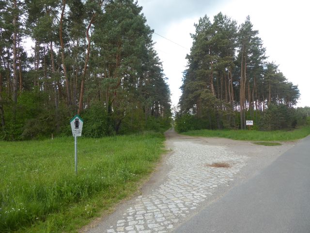 Blick auf Abzweig des Forstweges von der August-Bebel-Straße - Waldfläche in der Colbitz-Letzlinger Heide im Landkreis Börde ca. 20 km nördlich der Landeshauptstadt Magdeburg