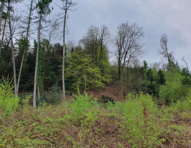 Blick auf den Verkaufsgegenstand - Vertragsfreies Grundstück hinter Wohnhäusern in Gummersbach