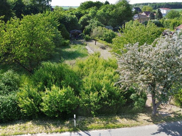 Blick auf Verkaufsgegenstand und Umgebung - Vertragsfreies Grundstück im Innenbereich in der Mecklenburgischen Seenplatte - lt. FNP Wohnbaufläche