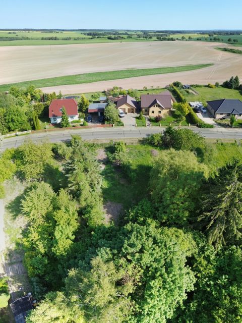 Blick auf Verkaufsgegenstand und Umgebung - Vertragsfreies Grundstück im Innenbereich in der Mecklenburgischen Seenplatte - lt. FNP Wohnbaufläche