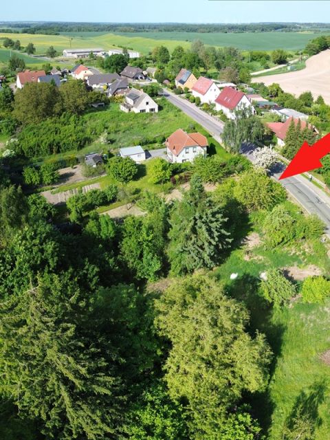 Blick auf Verkaufsgegenstand und Umgebung - Vertragsfreies Grundstück im Innenbereich in der Mecklenburgischen Seenplatte - lt. FNP Wohnbaufläche