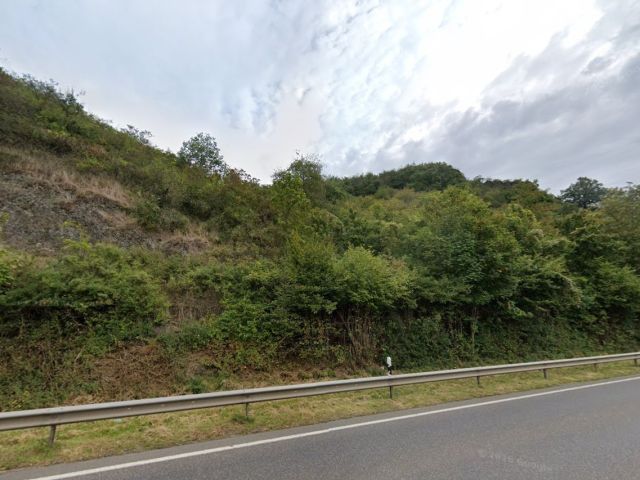 Blick auf den Verkaufsgegenstand - 8 überwiegend zusammenhängende Wald- und Unlandflächen nahe der B 42 **vertragslos genutzt**